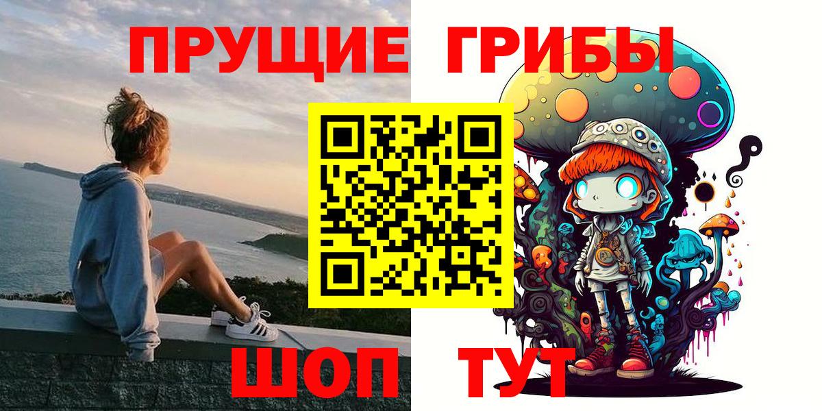 Сорочинск  Галлюциногенные грибы Psilocybe  купить   Вход с VPN  Галлюциногенные грибы мицелий 